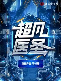 超凡医圣叶风