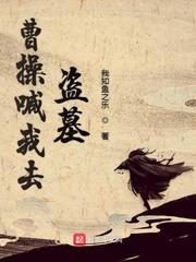 曹操喊我去盗墓讲的啥