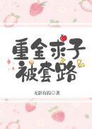 重金求子案例事件