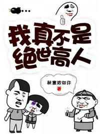 我真不是绝世高人 云巅公子