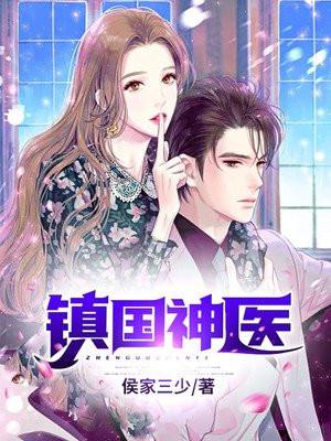 镇国神医赵天齐