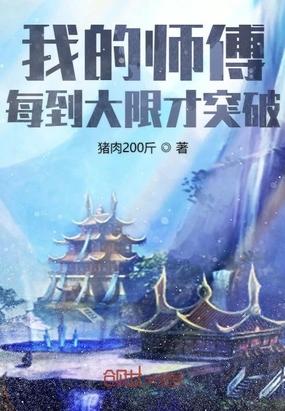 我的师傅每到大限才突破TXT