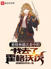 被格林德沃看中的我去了霍格沃茨 评价