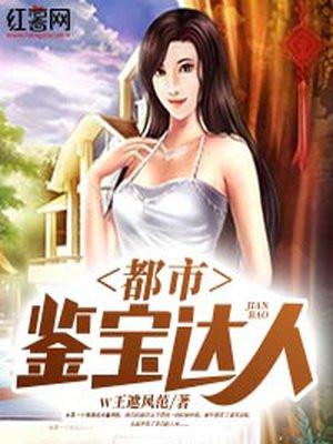 都市鉴宝达人(孙大王)顶点