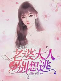 叶南弦沈蔓歌共多少章