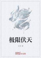 极限伏天天茗全本免费