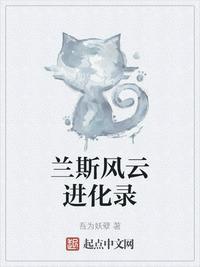 兰斯05剧情