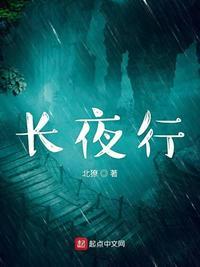 长夜行动算机密吗