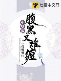 小皇叔腹黑又难缠短剧