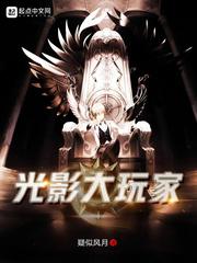 光影大玩家txt最新