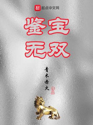 鉴宝无双叶无双