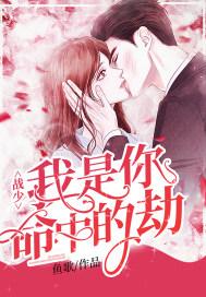 我是你命中的劫好看吗?