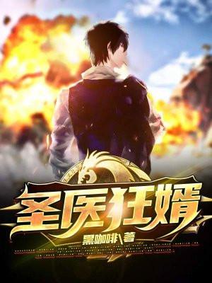 圣医豪婿16