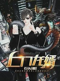 上门龙婿有多少集
