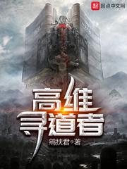 高维寻道者故事梗概