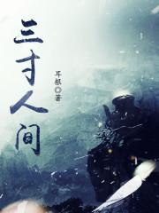 三寸人间梗概