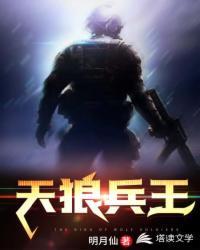 天狼兵王秦洛动画