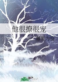 宁蓁陆执前世