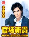 官场新贵黄安国正版txt