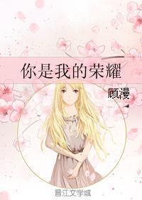 你是我的荣耀后续