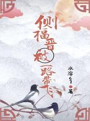 侧福晋是妻子吗