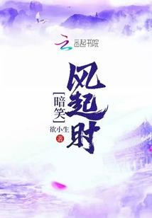 暗笑风起时txt