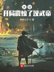 大汉开局震惊了汉武帝 孝孝公子
