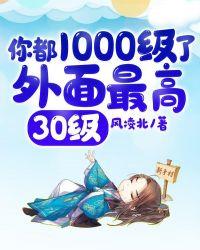 你都1000级了外面最高30级是什么