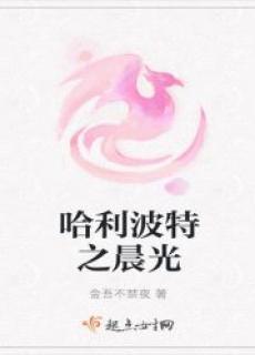 哈利波特之圣光