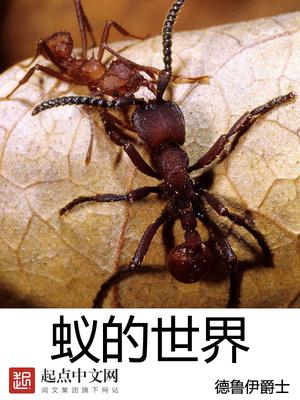 蚁的世界 第501章