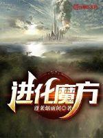 进阶魔方什么意思