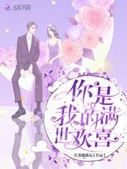 你是我的满世欢喜TXT