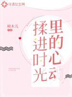 揉进时光里的心动好看吗