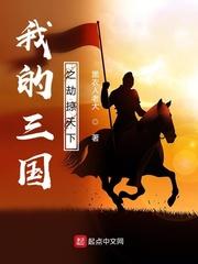 我的三国攻略