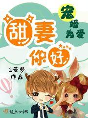 宠妻为上免费阅读全文