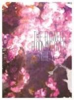 年宵花有哪些品种
