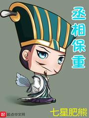 三国演义 丞相保重