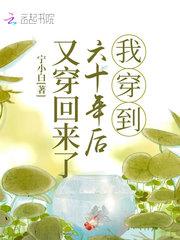 我穿到六十年后又穿回来了最新章节