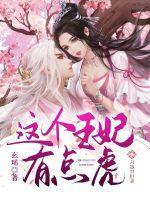 这个王妃有点坏