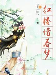 红楼梦惜春同人文