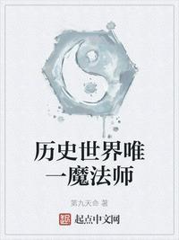 历史世界唯一魔法师323