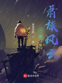 斗破萧族风云 雨夜末路