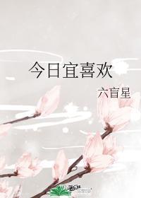 今日宜喜欢你简介