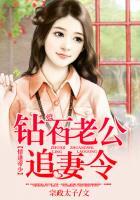 钻石情人在线阅读