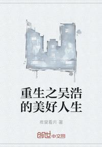 吴浩是什么电视剧人物