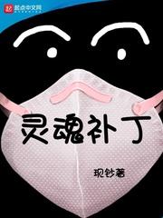 灵魂补丁百度百科