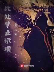 此处禁止玩梗有声