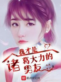 我是诸葛大力爸爸