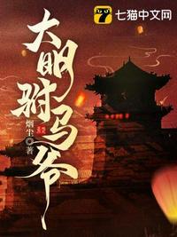 大明驸马爷15