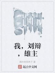 我刘辩雄主完整版